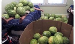 今日吃瓜--今日大赛